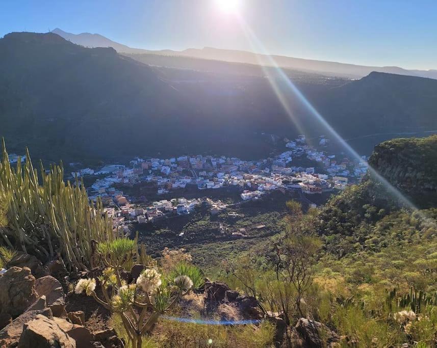 Hikers Haven Courtyard Apartment Tamaimo Tenerife El Molledo Eksteriør billede