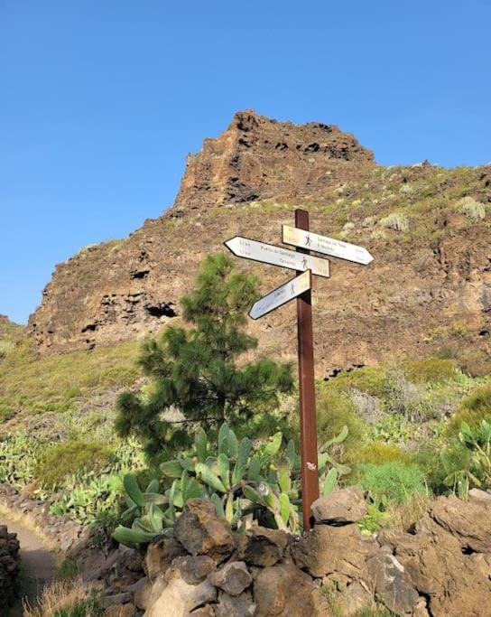 Hikers Haven Courtyard Apartment Tamaimo Tenerife El Molledo Eksteriør billede