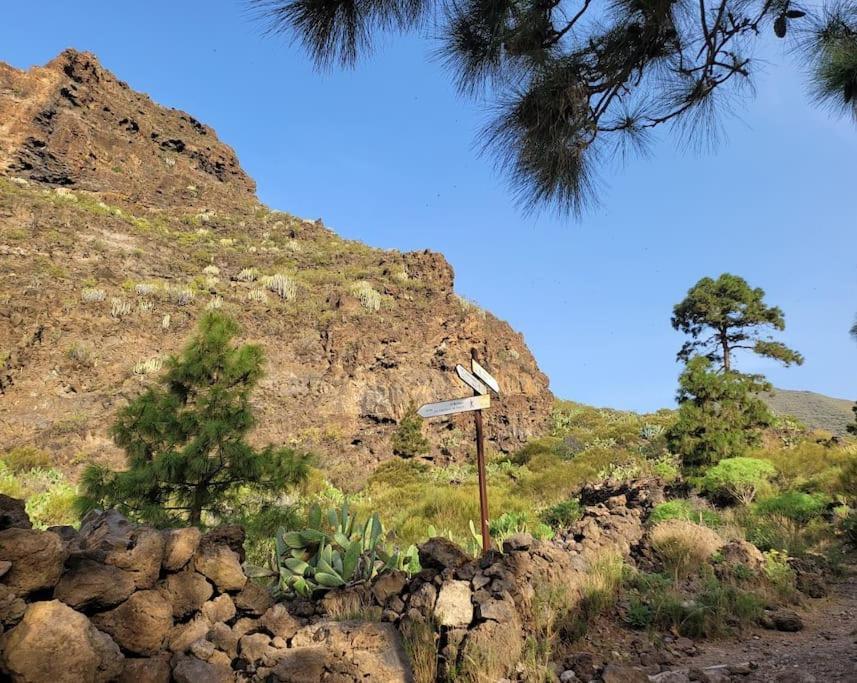 Hikers Haven Courtyard Apartment Tamaimo Tenerife El Molledo Eksteriør billede